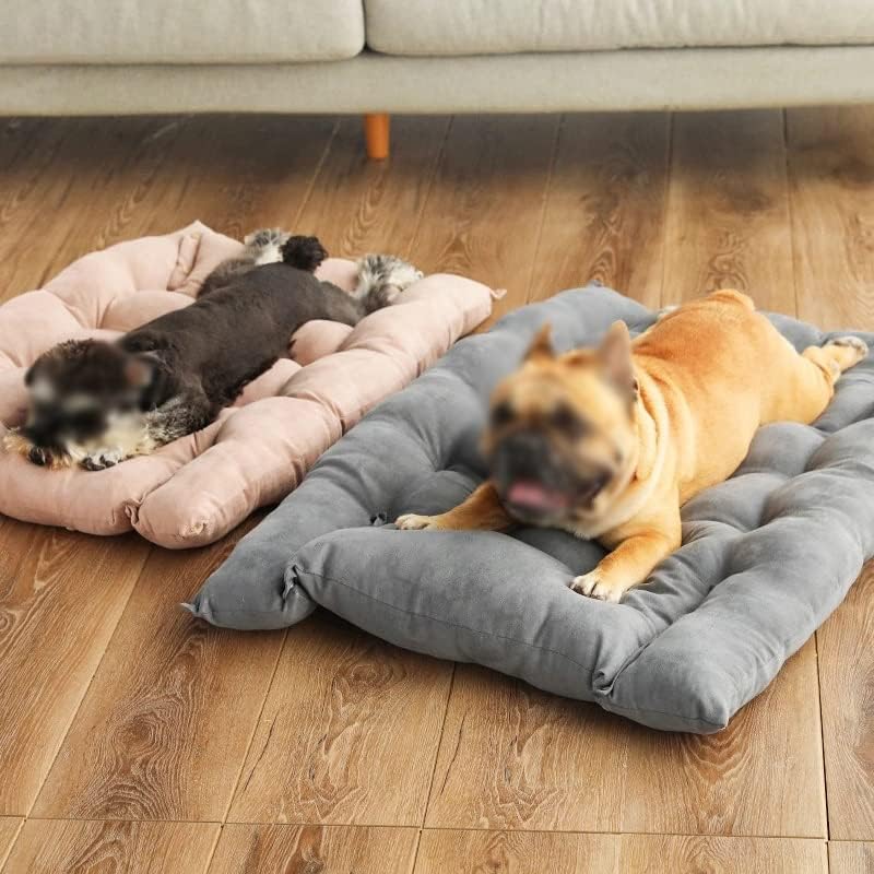 WXBDD Kisállat Kutya ágy, Összehajtható kutya Mat kutyák Heverő Macska, kutya Alszik Pet ágy Lélegző, nagyon Puha, Kényelmes