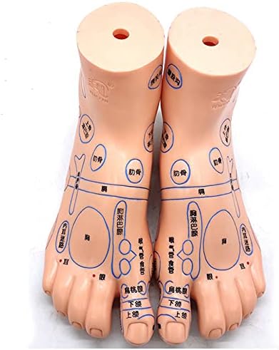 FHUILI Emberi Láb Acupoint Modell - Oktatási Modell az Emberi Akupunktúra Modell - 19cm/7.4 hüvelyk Láb, Akupunktúrás Acupoint
